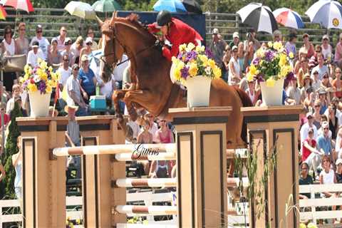 The Insider's Guide to the Cost of Spectating at Horse Shows in Northeast Ohio