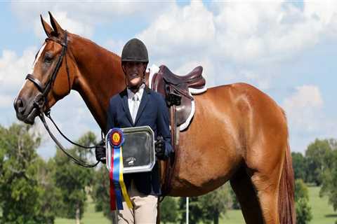 Horse Shows in Northeast Ohio: A Comprehensive Guide for Equestrian Enthusiasts