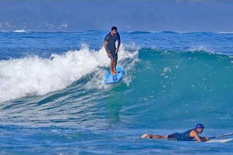Pua''ena Point ~ Mellow Relaxing Longboard Surfing North Shore O''ahu Hawaii